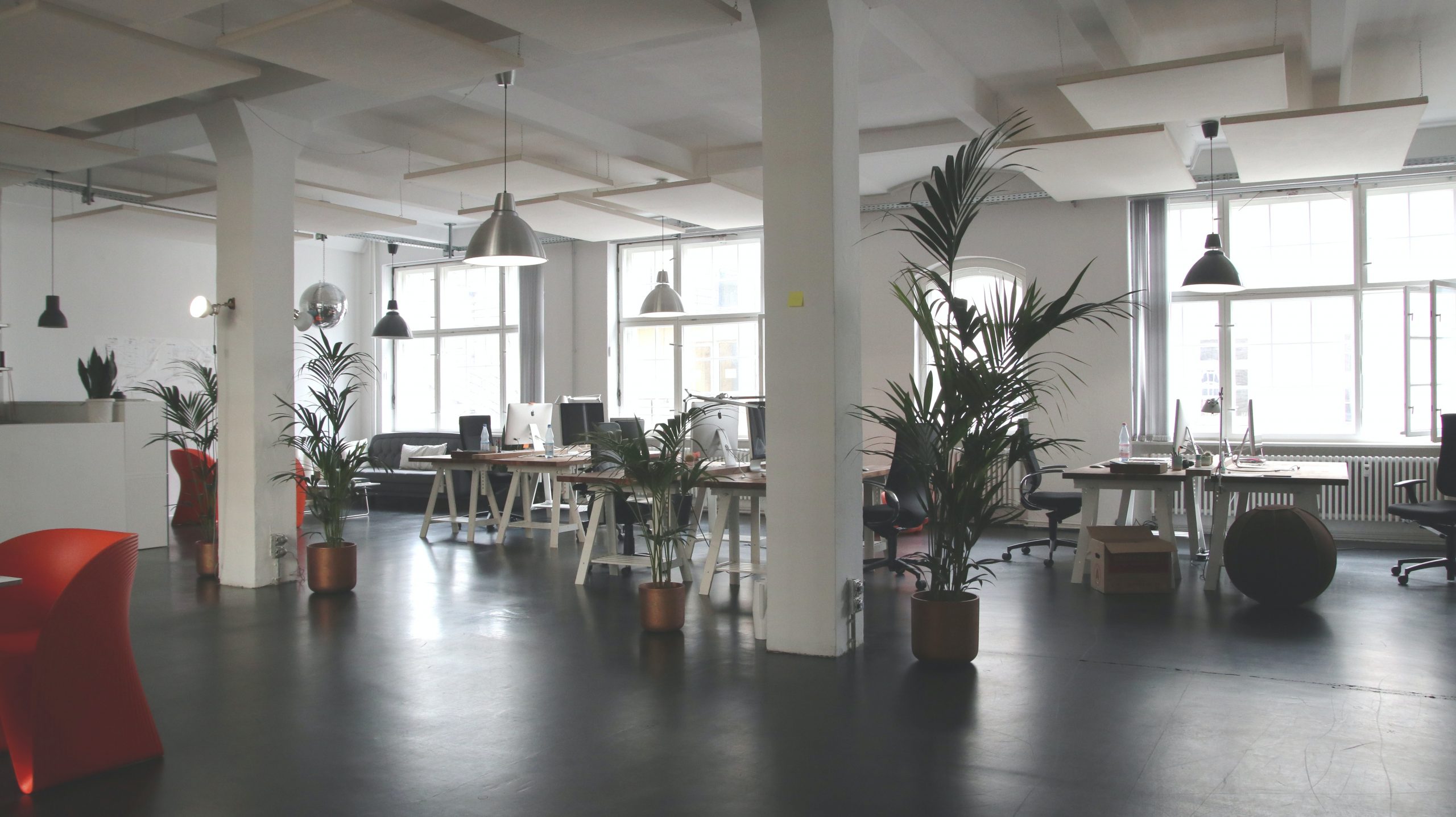 Working Towards a More Sustainable Office Space: Tips for an Eco-Friendly Office